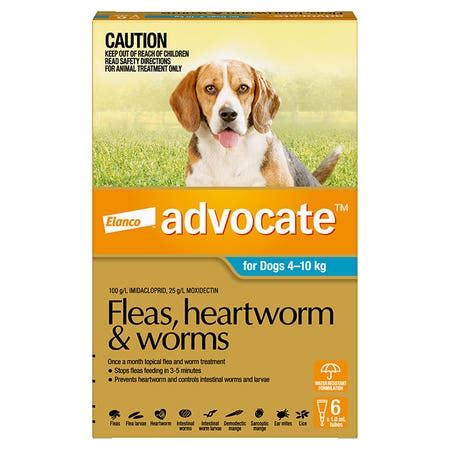 worming pipettes for dogs|flea worming for dogs.